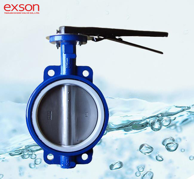 Ansi Butterfly Valve